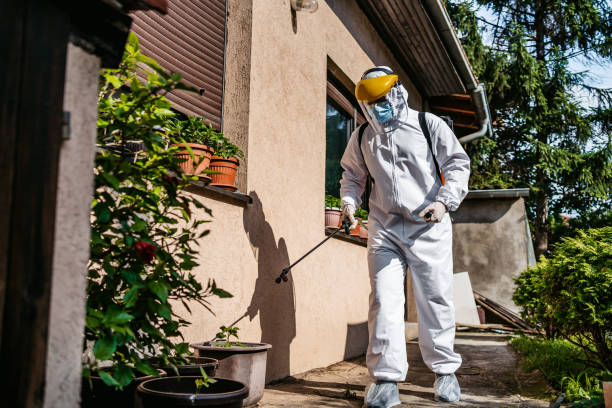 Best Best Pest Control Companies  in Patrick Springs, VA